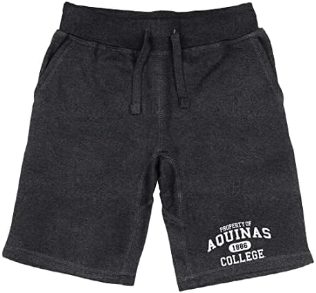 W Republica Aquinas Saints Property College Colegiul Fleece Pantaloni scurți
