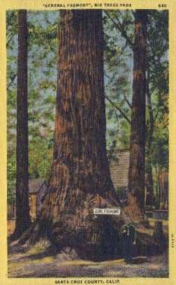 Santa Cruz County, California Postcard