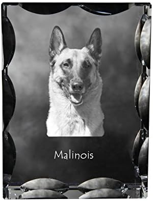 Art Dog Ltd. Malinois, Crystal Cubic cu câine, suvenir, decorare, ediție limitată, colecție