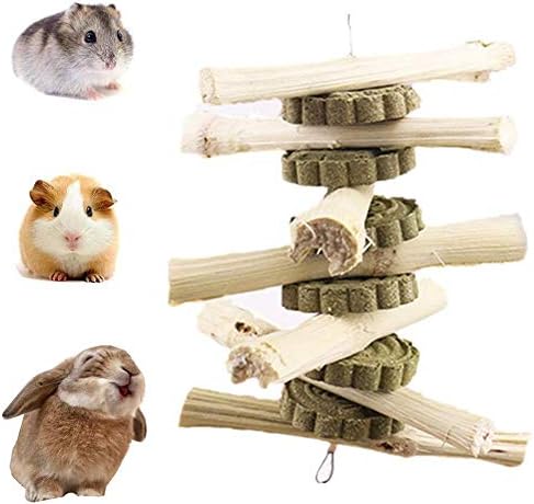 Kassbest Bunny Chest Jucării pentru dinți Natural Sweet Bamboo Sticks Molar Iepuri îmbunătățesc gustări pentru animale de sănătate