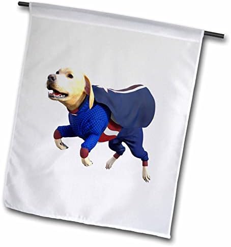3DROSE BOEHM GRAFICE DESCARAT - Cartoon Labrador în Super Dog Costum - Steaguri