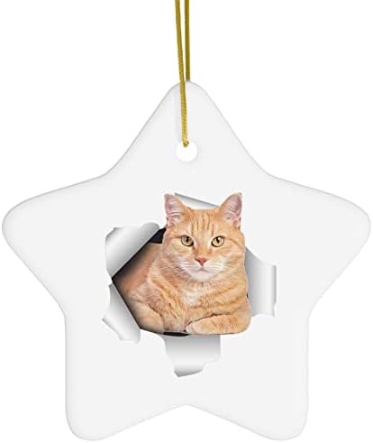 Amuzant tabby pisică portocaliu care iese din cadouri de perete crăpat 2023 ornamente de brad de Crăciun Steaua ceramică