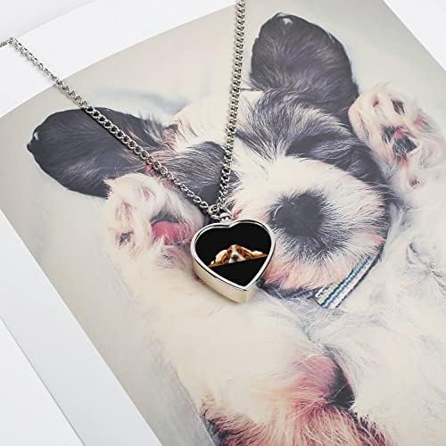 Câine rasa Basset Hound urnă colier pentru cenusa personalizate inima colier Pet incinerare bijuterii Memorial pandantiv pentru