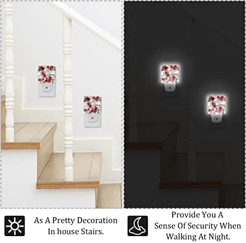 RodailyCay Sensing Light Light Oil Pictura Rose, 2 pachete Lumini de noapte se conectează la perete, Lui de noapte cu LED-uri